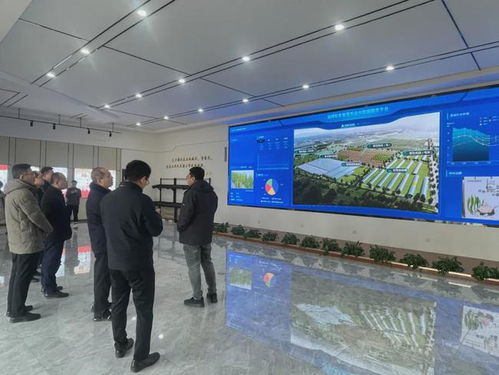 數(shù)字先鋒 數(shù)字農(nóng)業(yè)與智慧工廠共筑未來(lái)創(chuàng)新格局