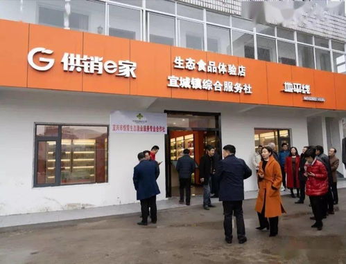 六月，開啟一場藍莓的采摘之旅 投資興辦實業的田園機遇